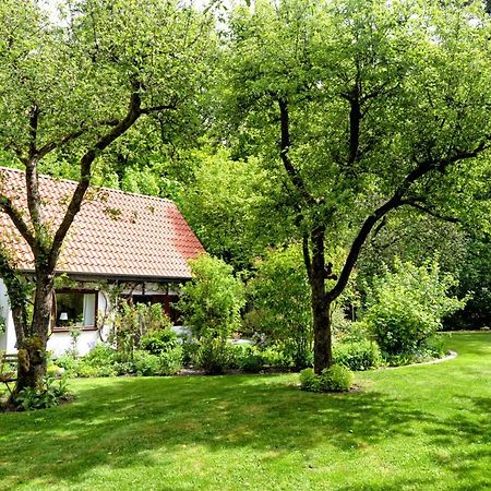 Kleines Haus Vila Ganderkesee Exterior foto